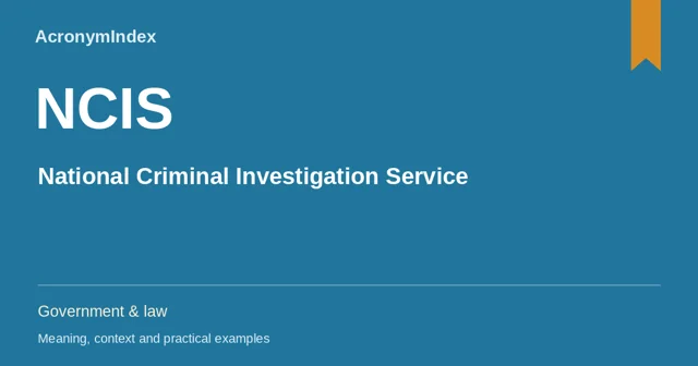 NCIS — National Criminal Investigation Service; Government & law